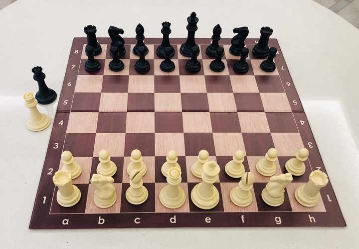 Customized Wood Grain Single-FoldingPaper Cardboard Tournament Chess Board - Checkmate & Chill 