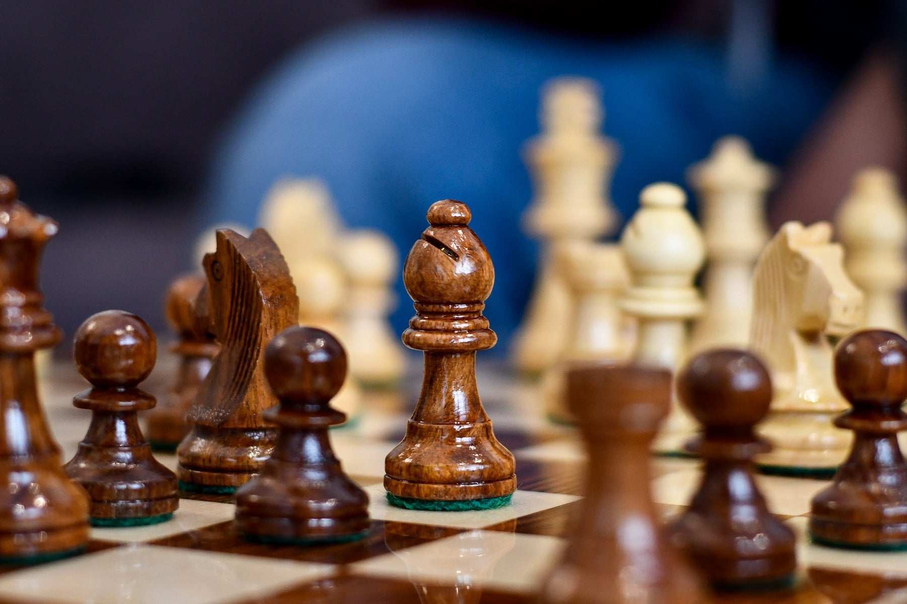 16″ Travel Folding Wooden Chess Set – Sheesham & Maple Board
