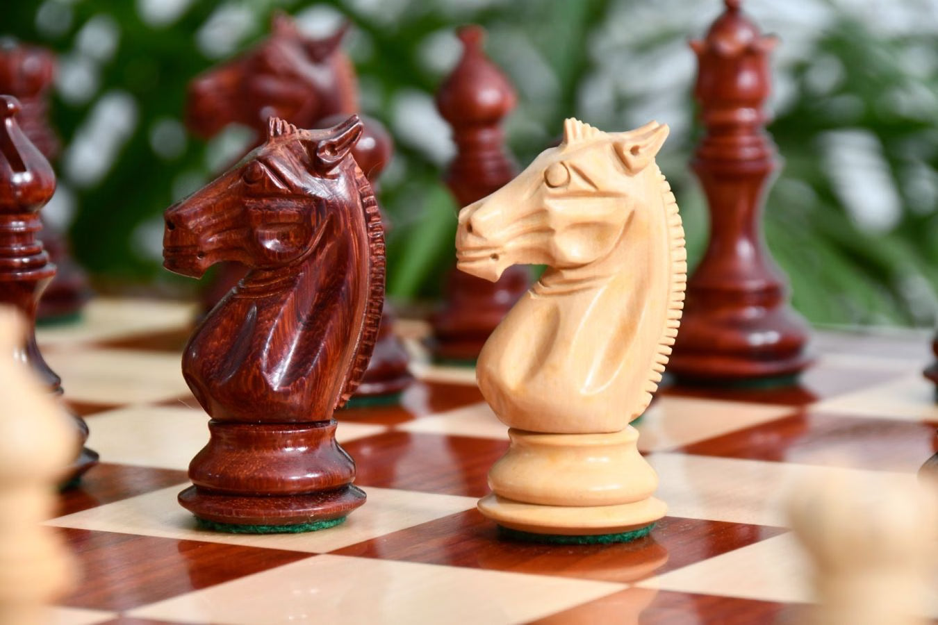 Meghdoot Staunton Chess Set – 3.14'' Bud Rosewood Pieces + Bud Rosewood Board
